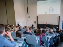 Gene: kleine Veränderungen, große Wirkung. 