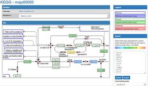 Software zur Integration, Simulation und Visualisierung von Daten über genetische Veränderungen von Bakterien - gemeinsames Promotionsthema von Maria Paula aus Valencia und Gabriel Kind aus Mittweida.