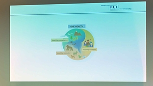 Blick auf die projizierte Präsentation: Das Bild zeigt unter der Überschrift „One Health“ drei zu einem Kreis oder einer Kugel verbundene Grafiken, die Ökosystem, Mensch und Tier darstellen mit der jeweiligen Beschriftung „Healthy ecosystems“, Haelthy humans“ und „Healthy animals“.