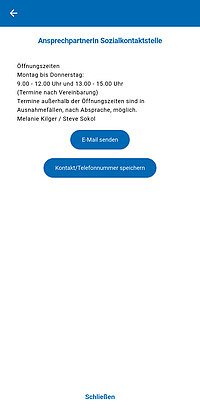 Screenshot Selbsteinschätzung