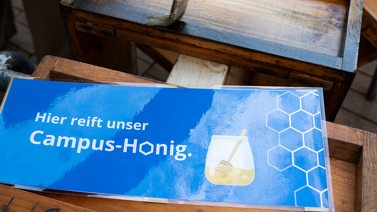 Ein Schild mit blauem Hintergrund zeigt die Schrift "Hier reift unser Campus-Honig". Das O hat die Form einer Bienenwabe, zudem sieht man ein stilisiertes Honigglas samt Löffel.