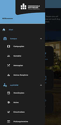 Screenshot Dark Mode