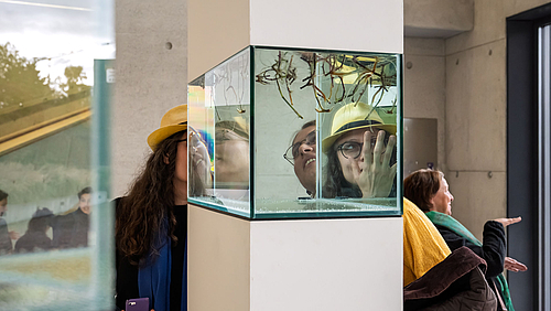 Blicke auf eine Überlebenskünstlerin: "The Wanderer" von Michal Fuchs im Ludwig-Hilmer-Bau der Hochschule Mittweida. Zwei Betrachterinnen spiegeln sich in den Scheiben eines Aquariums auf eine Stele, in das Wurzeln von Pflanzen von oben eintauchen.