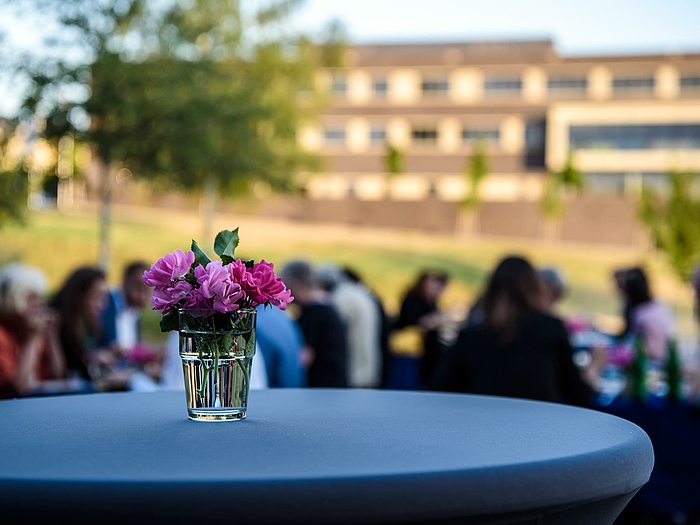 In der SEM-Sommerwerkstatt zeigte sich ein blühendes Projekt für den wissenschaftlichen Nachwuchs an der Hochschule Mittweida.