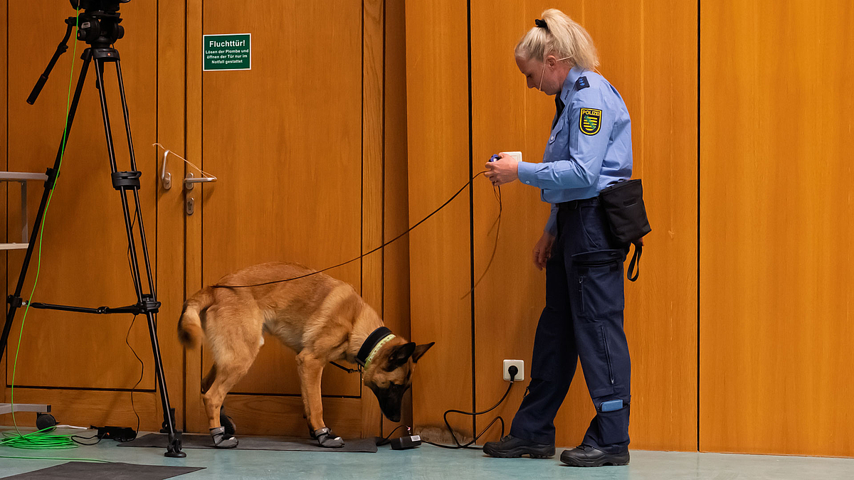 Der Hund mit seiner Hundeführerin auf Spurensuche im Hörsaal.
