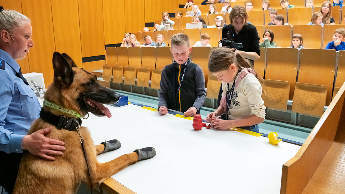 Hund liegt mit den Vorderpfoten auf dem Pult. Ihm gegenüber kleben zwei Kinder den Kong zusammen.