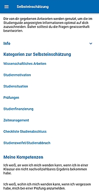 Screenshot Selbsteinschätzung