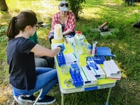 Für die spätere mikroskopische Untersuchung werden die gefundenen Insekten mit einer alkoholischen Lösung haltbar gemacht.