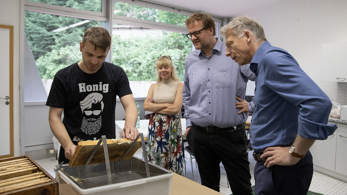 Drei Männer und eine Frau stehen in einer Küche um eine rechteckige Plastikschale, auf der eine Honigwabe steht.