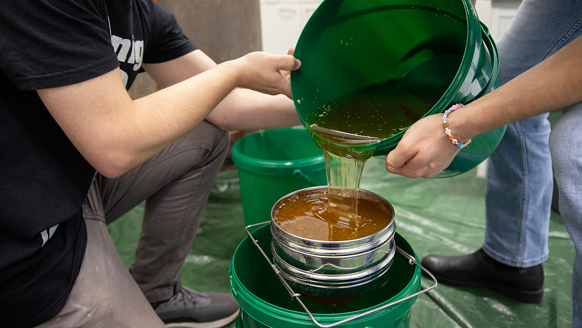 Zwei Männer schütten den geschleuderten Honig aus einem Eimer über ein Metallsieb in einen anderen Eimer.