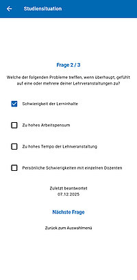 Screenshot Selbsteinschätzung (Frageansicht)