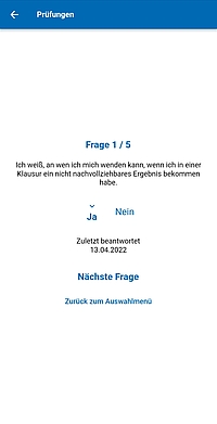 Screenshot Selbsteinschätzung (Frageansicht)