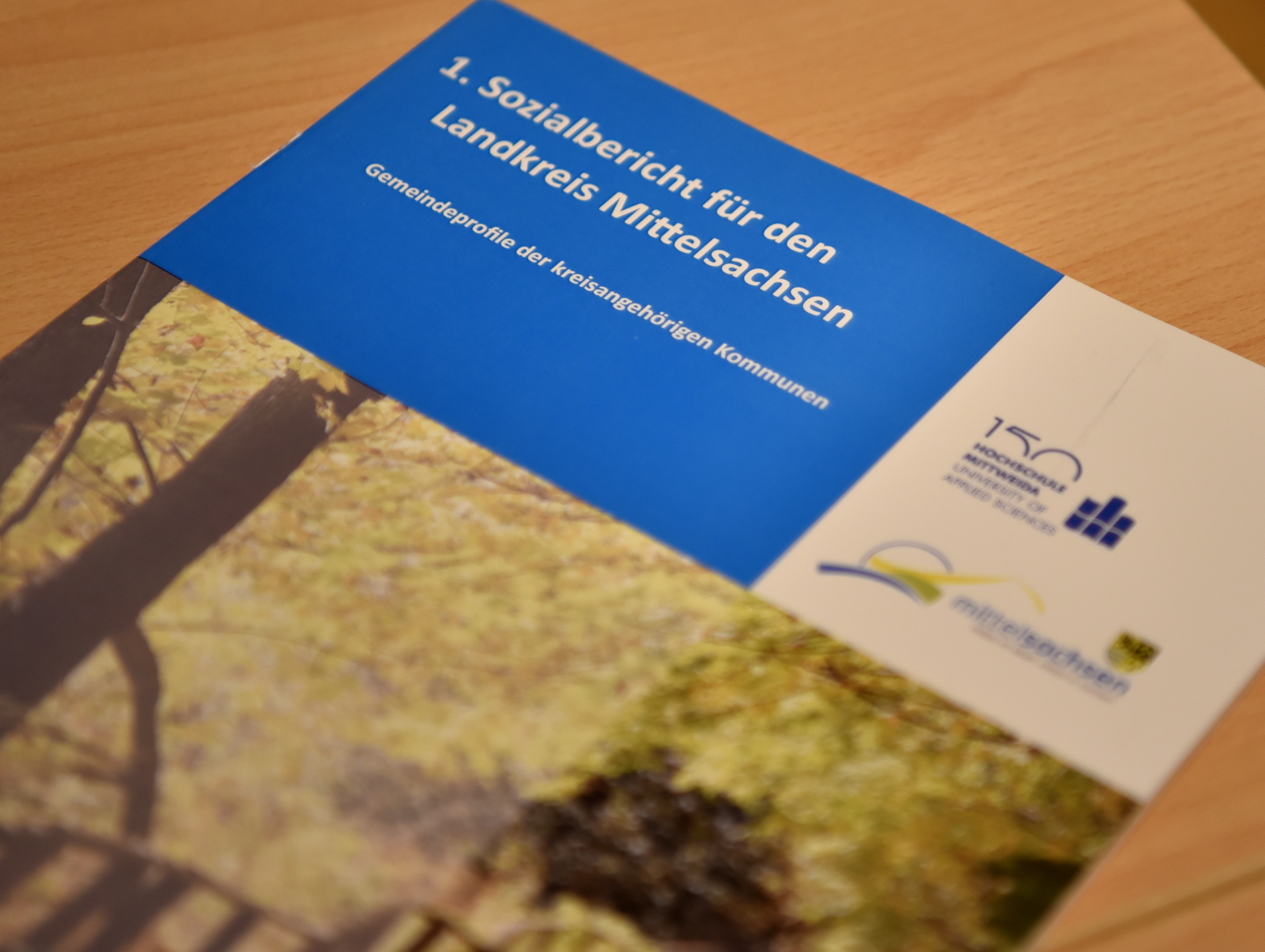 Im Frühjahr 2017 veröffentlichte die Fakultät Soziale Arbeit gemeinsam mit dem Landkreis Mittelsachsen den 1. Sozialbericht. 