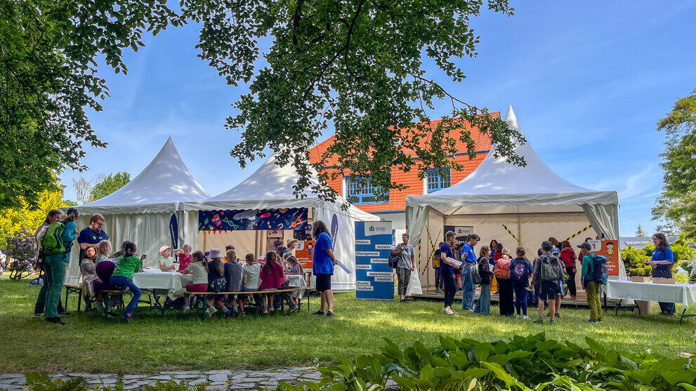 Drei Pavillions auf einer Wiese. Viele Kinder sitzen und stehen davor und darin.