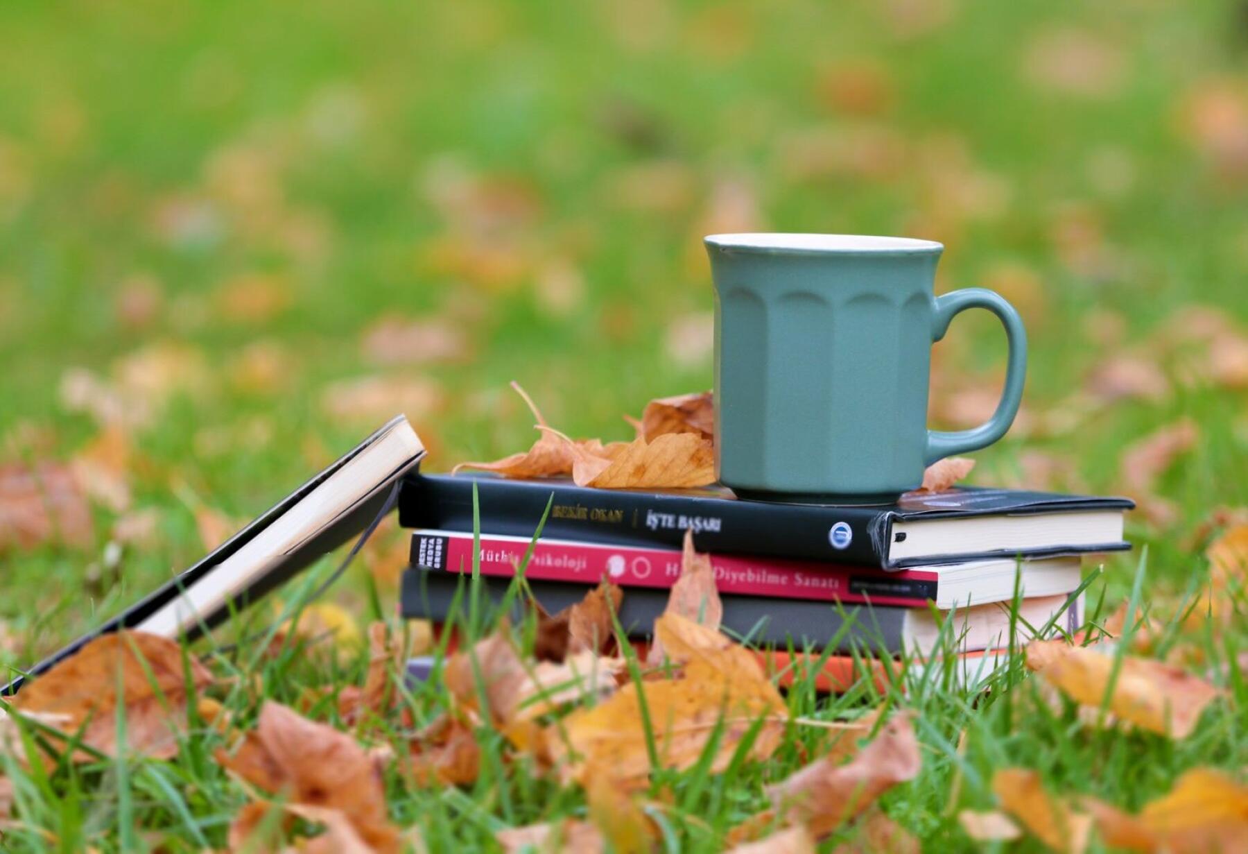 Büchstapel mit einer Tasse auf Wiese mit Blättern