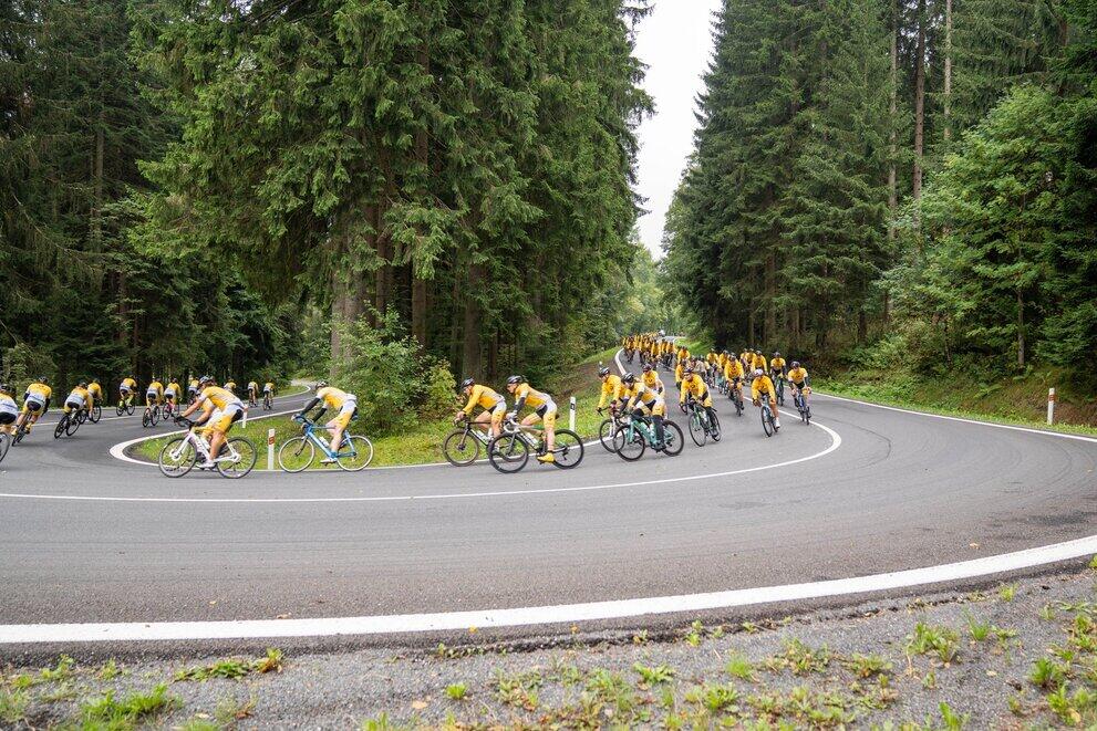 Eine große Zahl Radfahrer:innen in gelben Trikots umfährt eine Serpentine.