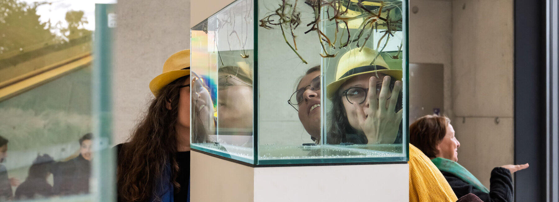Zwei Betrachterinnen spiegeln sich in den Scheiben eines Aquariums auf eine Stele, in das Wurzeln von Pflanzen von oben eintauchen.