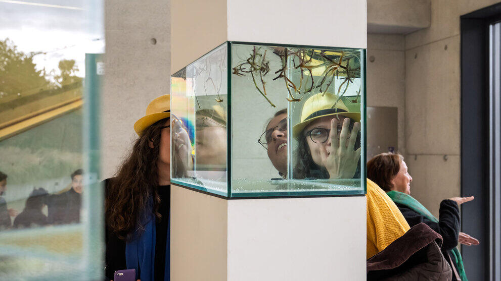 Zwei Betrachterinnen spiegeln sich in den Scheiben eines Aquariums auf eine Stele, in das Wurzeln von Pflanzen von oben eintauchen.