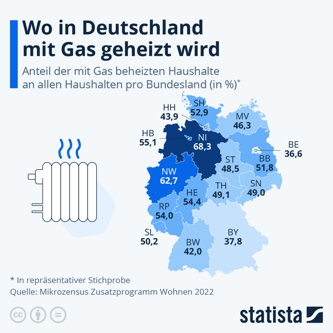 Schematische Darstellung