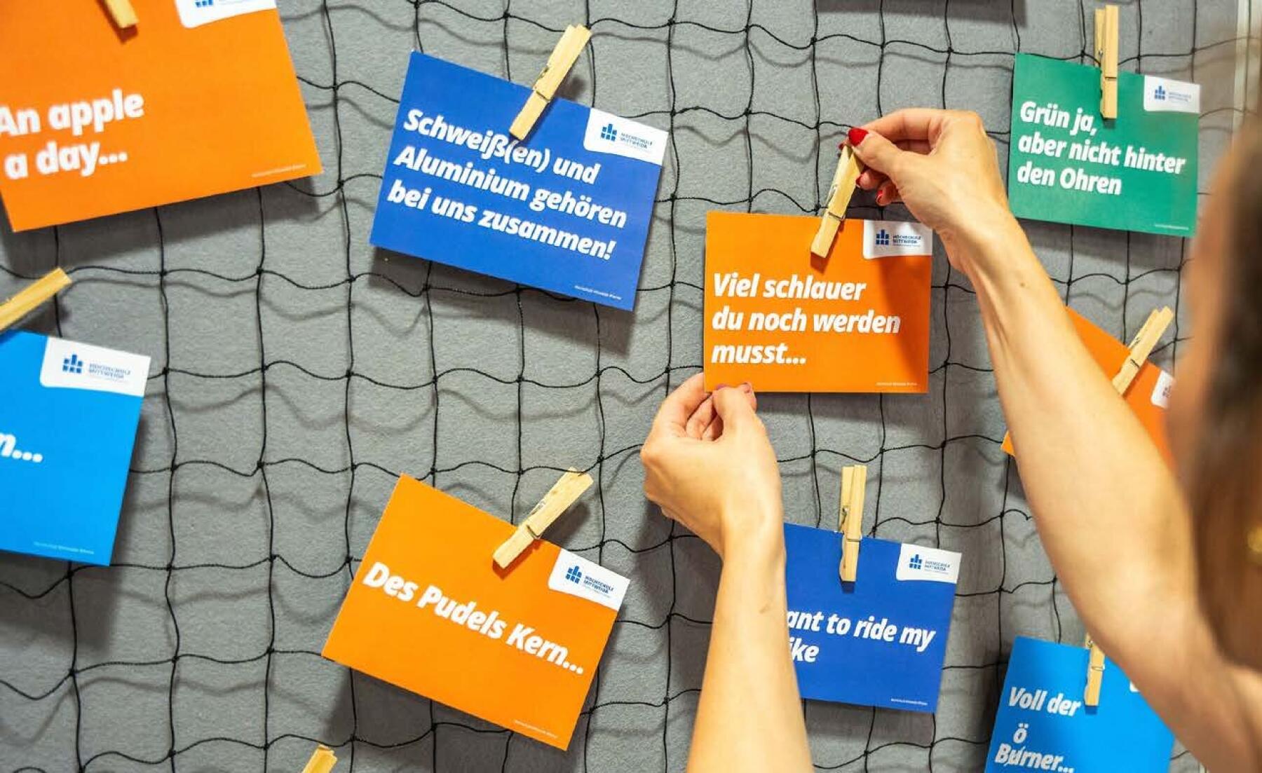 Bunte Postkaten werden mit Holzklammern an einem Netz befestigt