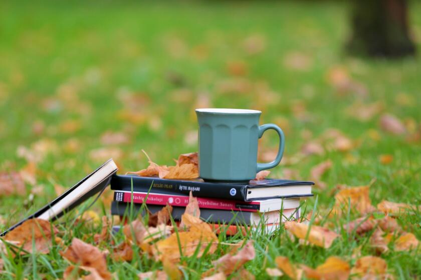 Büchstapel mit einer Tasse auf Wiese mit Blättern