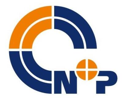 Logo N+P Informationssysteme GmbH